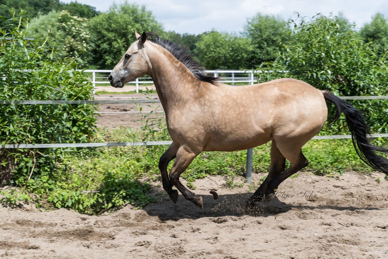 Bild 181 - Vivi